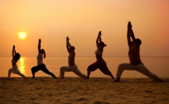  Йога курсове в Индия – (Ниво2)